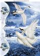 Beautiful Fantasy Swans with the Ocean, and Blue Roses A4