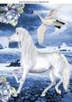 Beautiful White Horse with the Ocean, Swan, & Blue Roses A4