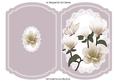 Pretty Cream Magnolias with Butterfly Quick Card