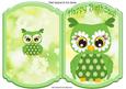 Cute Little Green Owl with Flowers Quick Card