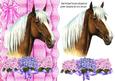 Pretty Palomino with Flowers on Frill Edge Card