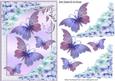 Pretty Chrysanthemums in Lilac/pink with Butterflies