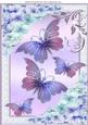 Pretty Chrysanthemums in Lilac/pink with Butterflies A4
