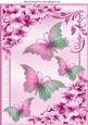 Pretty Chrysanthemums in Pink with Butterflies A4