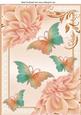 Pretty Chrysanthemums in Peach with Butterflies A4
