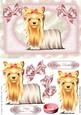 Cute Yorkie Dog with Bows in Lace Frame