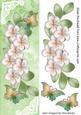 Cascading Cream Flowers with Rainbow Butterflies Tall Dl