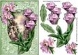 Beautiful Garden of Pink Shades of Summer Flowers