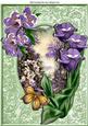 Beautiful Garden of Purple Shades of Summer Flowers A4