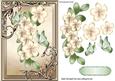 Pretty Cream Flowers with Green Butterflies in Ornate Frame