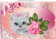 Cute Kitten with Pink Bow and Rose in Ornate Frame A4