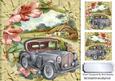 Silver Vintage Car with Flowers and a Cottage 8x8
