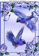 Blue Birds Flying and Blue Roses in Ornate Frame A4