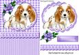 Cute Little Cavalier Puppy, with Purple Rose & Topper