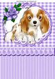 Cute Little Cavalier Puppy , with Purple Rose A4