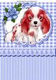 Cute Little Cavalier, Puppy with Blue Rose A4