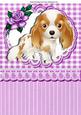 Cute Little Cavalier Puppy , with Pink Rose A4