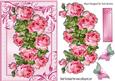 Beautiful Wild Pink Roses with Butterflies