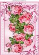 Beautiful Wild Pink Roses in Ornate Frame A4