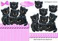 Six Cute Little Black Kittens Over the Edge Card