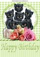 Cute Kittens Amongst the Roses with Gingham & Lace A4