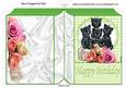 Cute Kittens Amongst the Roses on Lace Folded Book