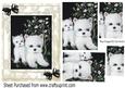 Cute Little Westies with Flowers in Ornate Frame Pyramids