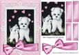 Cute Westies with Hearts in Lace Frame with Bow