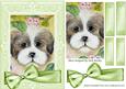 Cute Puppy Amongst the Flowers with Big Bow