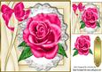 Beautiful Big Cerise Pink Rose on Lace with Satin Bow 8x8