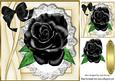 Beautiful Big Black Rose on Lace with Satin Bow 8x8