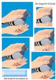 A Lovely Pigeon Cupped in a Pair of Hands Pyramids