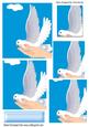 A Lovely Dove in a Hand Pyramids