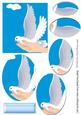 A Lovely Dove in a Hand Oval Pyramids