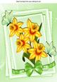 Pretty Golden Daffodils with Butterflies and Bow A4