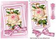 Pretty Pink Vintage Rose on Lace with Striped Bow