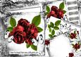 Beautiful Red Roses with White Butterflies 8x8 Mini Kit