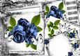 Beautiful Blue Roses with White Butterflies 8x8 Mini Kit
