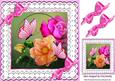 Pretty Summer Peach and Pink Flowers on Lace