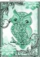 Turq Sparkle Owl with Flowers in Ornate Frame A4