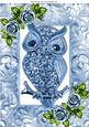 Blue Sparkle Owl with Roses in Ornate Frame A4