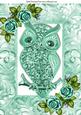 Turq Sparkle Owl with Turq Roses in Ornate Frame A4