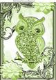 Green Sparkle Owl with Flowers in Ornate Frame A4