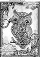 Silver Sparkle Owl with Flowers in Ornate Frame A4