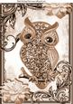 Brown Sparkle Owl with Flowers in Ornate Frame A4