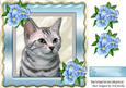 Cute Kitten with Flowers in Ornate Frame 8x8