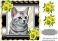 Cute Kitten with Yellow Flowers in Ornate Frame 8x8