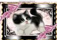 Gorgeous Little Black/white Kitty with Pink Bows A4