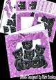 Cute Little Black Kittens in Frill Frame Wih Pink Bow Kit