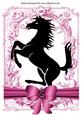 Silhouette of a Black Stallion in Vintage Ornate Frame A4